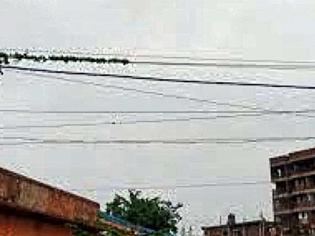 पूर्णिया में बारिश-उमस का डबल अटैक, IMD ने जारी किया येलो अलर्ट